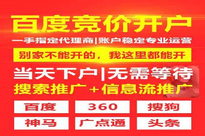 SEM推广代运营公司：行业领先的成功秘诀